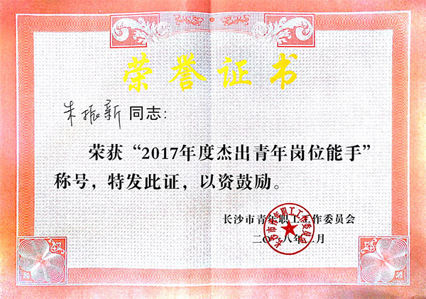 Z6人生就是博智能朱振新荣获长沙市2017年度卓越青年岗位能手