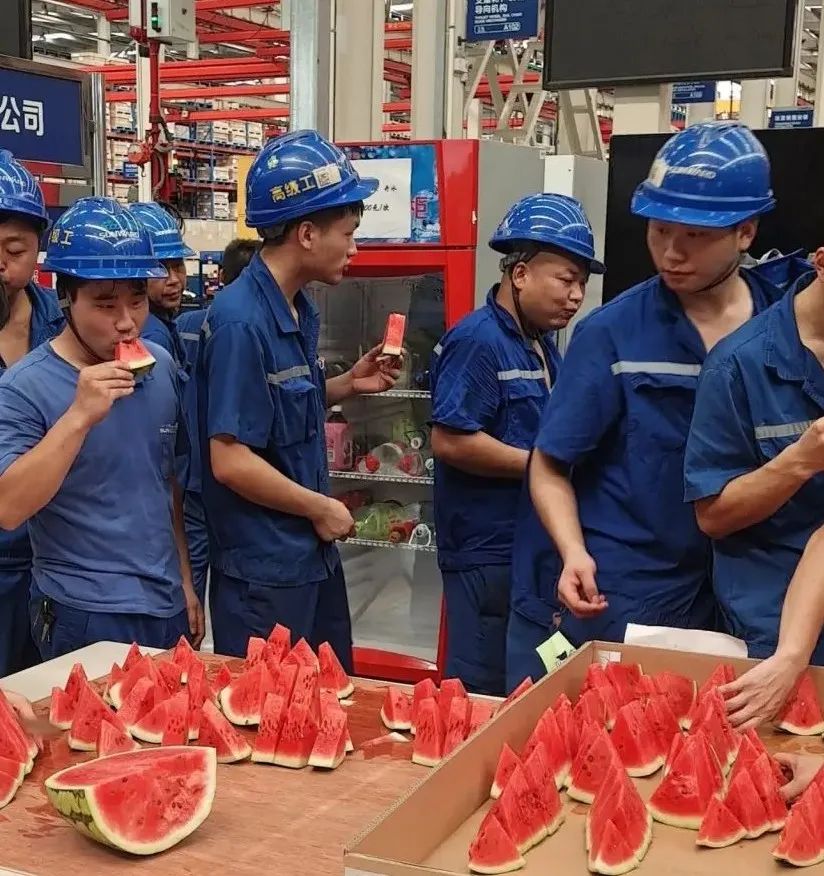 Z6人生就是博智能“降暑套餐”，只为不服“暑”的你